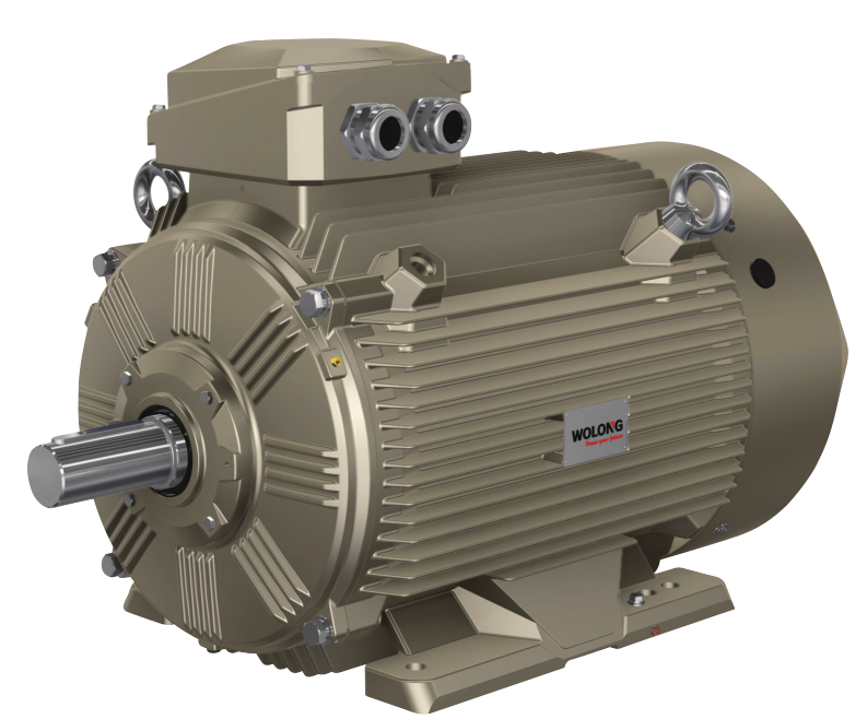 WEPM 变频调快永磁电机.png